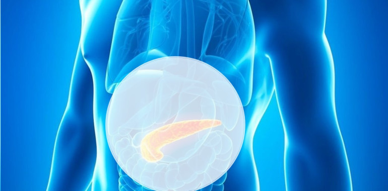 Sladkorna bolezen, inzulin in regeneracija trebušne slinavke