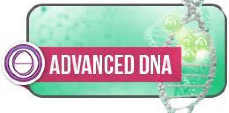 Thetahealing® nadaljevalni seminar DNK 2 (Advanced DNA)