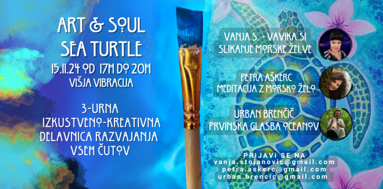 Art Soul Sea Turtle