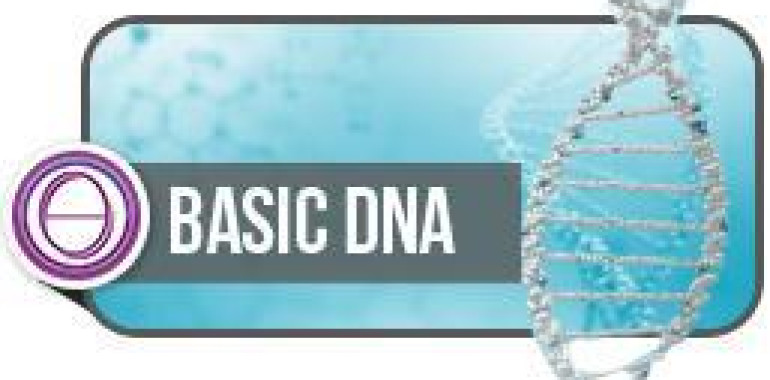 Thetahealing® seminar DNK 1 (Basic DNA)