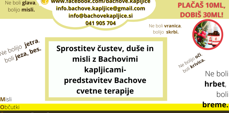 Najpogostejše napake pri Bachovi cvetni terapiji. Tudi vaše?