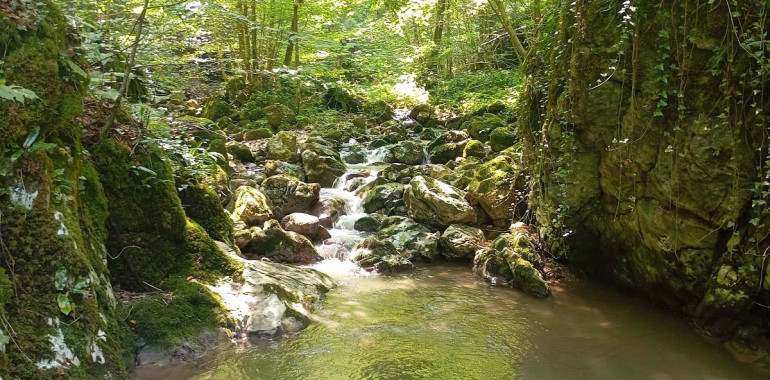 Srčni preboji, doživljajsko intuitivno vodenje, obredi sPRAVe, aktivacija notranjega ljubimca